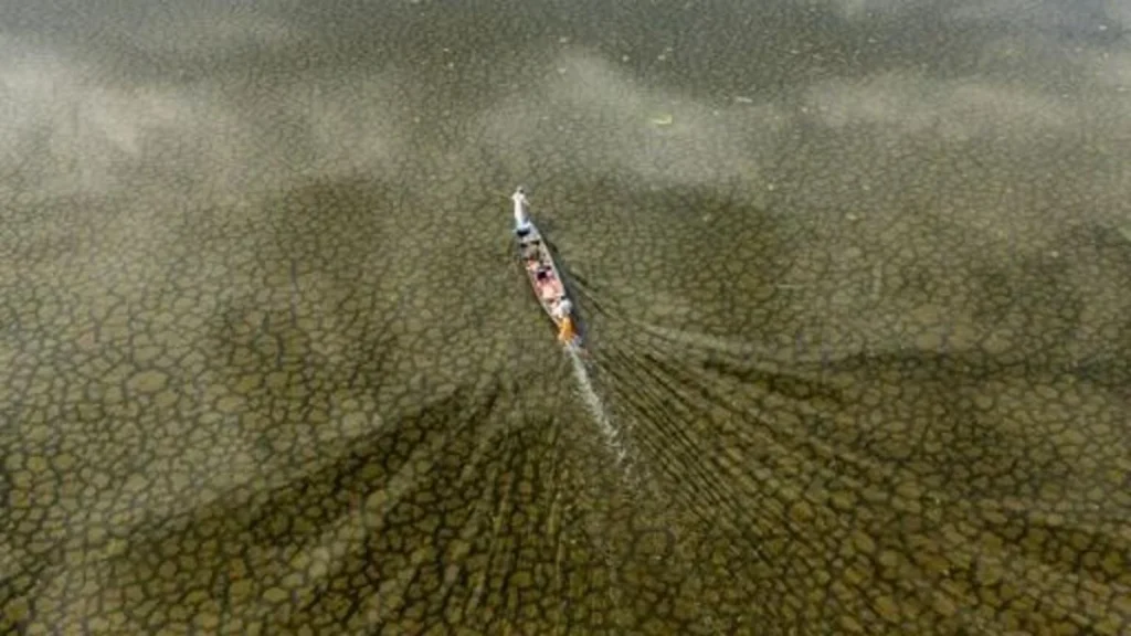 Rains Revive Iraq’s Huwaizah Marshes Rains Revive Iraq’s Huwaizah Marshes