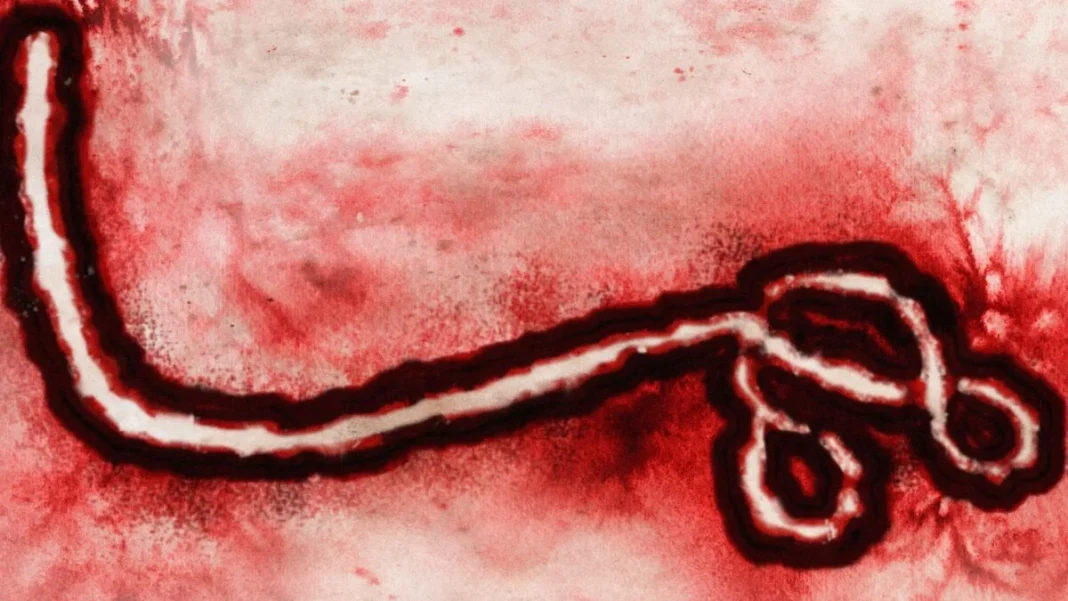 Ebola virus