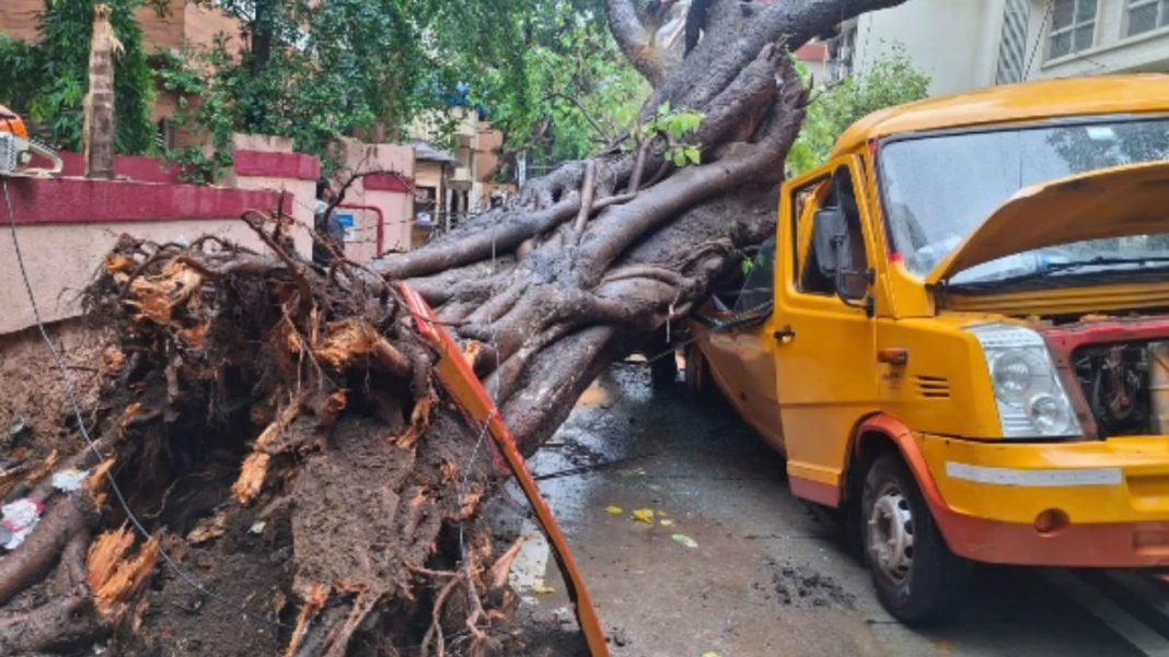 Mumbai School Bus Tragedy: Child Killed After Tree Falls on Bus in Chembur Amid Heavy Rain, Questions Raised Over BMC Negligence